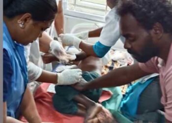 വീടിന്റെ വാതിൽക്കൽ അമ്മയോടൊപ്പമിരുന്ന് കളിച്ചുകൊണ്ടിരുന്ന അഞ്ച് വയസുകാരന്റെ മേലേക്ക് ചാടിവീണ് പുലി, അമ്മ ഒച്ചവെച്ചിട്ടും വിട്ടില്ല, കുട്ടിയുടെ തലയിൽ കടിച്ചെടുത്ത് മൂന്നു മീറ്ററോളം വലിച്ചിഴച്ചുകൊണ്ടുപോയി, പിടിവിട്ടത് നാട്ടുകാർ ഒച്ചയിട്ടതോടെ കുഞ്ഞിന്റെ തലയ്ക്ക് ​ഗുരുതര പരുക്ക്