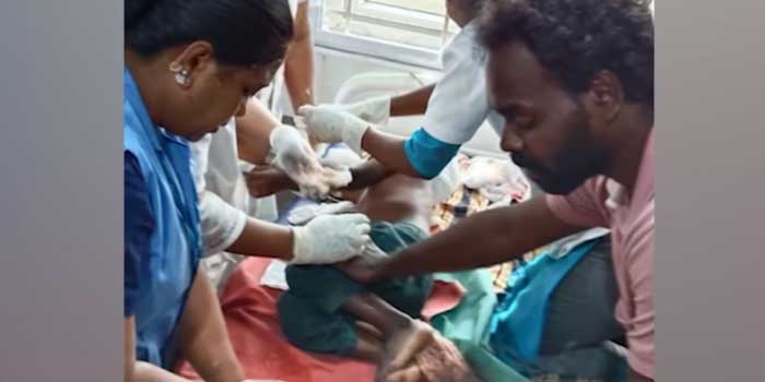 വീടിന്റെ വാതിൽക്കൽ അമ്മയോടൊപ്പമിരുന്ന് കളിച്ചുകൊണ്ടിരുന്ന അഞ്ച് വയസുകാരന്റെ മേലേക്ക് ചാടിവീണ് പുലി, അമ്മ ഒച്ചവെച്ചിട്ടും വിട്ടില്ല, കുട്ടിയുടെ തലയിൽ കടിച്ചെടുത്ത് മൂന്നു മീറ്ററോളം വലിച്ചിഴച്ചുകൊണ്ടുപോയി, പിടിവിട്ടത് നാട്ടുകാർ ഒച്ചയിട്ടതോടെ കുഞ്ഞിന്റെ തലയ്ക്ക് ഗുരുതര പരുക്ക്