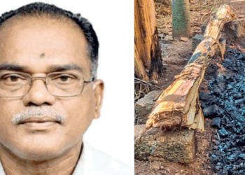 വീട്ടുപറമ്പിൽ ചിതയൊരുക്കി തിന്നറൊഴിച്ച് തീകൊളുത്തി ; കൊല്ലത്ത് ഗൃഹനാഥനെ മരിച്ച നിലയിൽ കണ്ടെത്തി; വാഴത്തോപ്പിൽ തീ പടർന്നതോടെ അയൽവാസികൾ എത്തി തീയണച്ചെങ്കിലും രക്ഷിക്കാനായില്ല