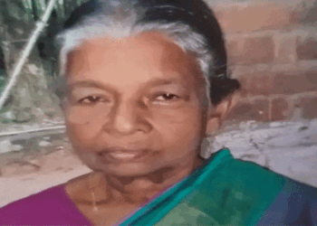 തൊഴിലുറപ്പ് ജോലിക്ക് പോകുന്നതിനിടെ തൊഴിലാളികൾക്ക് നേരെ  കാട്ടാന ആക്രമണം; ഓടി രക്ഷപ്പെടാനാകാതെ 81കാരി, ദാരുണാന്ത്യം