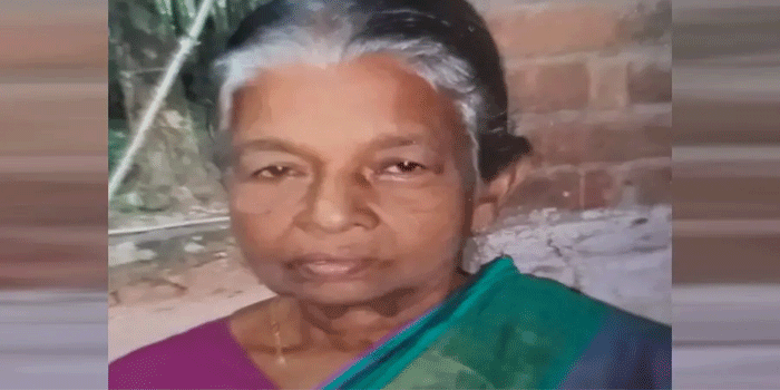 തൊഴിലുറപ്പ് ജോലിക്ക് പോകുന്നതിനിടെ തൊഴിലാളികൾക്ക് നേരെ കാട്ടാന ആക്രമണം; ഓടി രക്ഷപ്പെടാനാകാതെ 81കാരി, ദാരുണാന്ത്യം