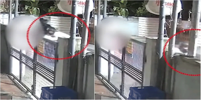 കൊച്ചിയിൽ വഴിയാത്രക്കാരിയെ ബൈക്കിൽ പിന്തുടർന്ന് ലൈംഗികാതിക്രമം; അഭിഭാഷകൻ പിടിയിൽ; സി.സി.ടി.വി. ദൃശ്യങ്ങൾ കേന്ദ്രീകരിച്ച് നടത്തിയ പരിശോധനയിലാണ് പ്രതിയെ തിരിച്ചറിഞ്ഞത്