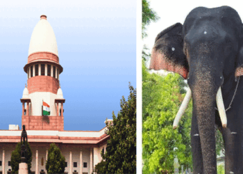 ‘ആനയ്ക്ക് വർഷം മുഴുവൻ മദപ്പാടാണോ?  ആനകളെ കുറിച്ച് ഞങ്ങൾക്കും അറിയാം’’ ഊട്ടോളി രാമനെ മാറ്റാത്തതിൽ കേരളത്തോട് സുപ്രീംകോടതിക്ക് രൂക്ഷവിമർശനം