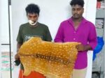 ലേശം കൗതുകം കൂടുതലാ സാറേ അതുകൊണ്ട് പറ്റിപ്പോയതാ... സ്കൂട്ടർ അപകടത്തിൽപ്പെട്ട് സീറ്റ് തെറിച്ചുവീണപ്പോൾ കൂടെപ്പോയത് പുള്ളിമാനിന്റെ തോൽ, രണ്ടു യുവാക്കൾ അറസ്റ്റിൽ!! ഒരു വീട്ടിൽ നിന്ന് ഉപകരണങ്ങൾ ഉൾപ്പെട്ട സാമഗ്രികൾ മാറ്റുന്നതിടയിൽ കൗതുകത്തിനെടുത്ത് സുഹൃത്തിന്റെ സ്‌കൂട്ടറിനുളളിൽ സൂക്ഷിച്ചതെന്ന് മൊഴി