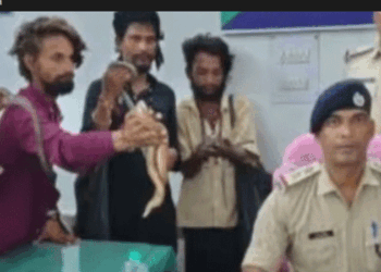 ട്രെയിനിൽ പാമ്പുകളുമായി കയറി യാത്രക്കാരെ ഭീഷണിപ്പെടുത്തി പണം തട്ടിയെടുക്കും; 10 വിഷപ്പാമ്പുകളുമായി ആറംഗ സംഘം പിടിയിൽ