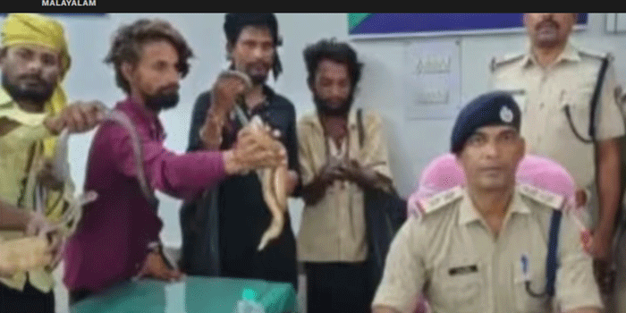 ട്രെയിനിൽ പാമ്പുകളുമായി കയറി യാത്രക്കാരെ ഭീഷണിപ്പെടുത്തി പണം തട്ടിയെടുക്കും; 10 വിഷപ്പാമ്പുകളുമായി ആറംഗ സംഘം പിടിയിൽ